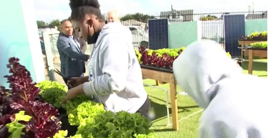 Students Use Skywell To Irrigate Their Campus Garden – NBC 4 Los Angeles