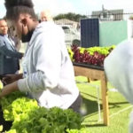 Students Use Skywell To Irrigate Their Campus Garden – NBC 4 Los Angeles